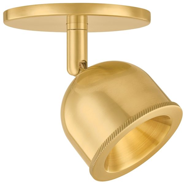 Tuthill Flush Mount ct8336207